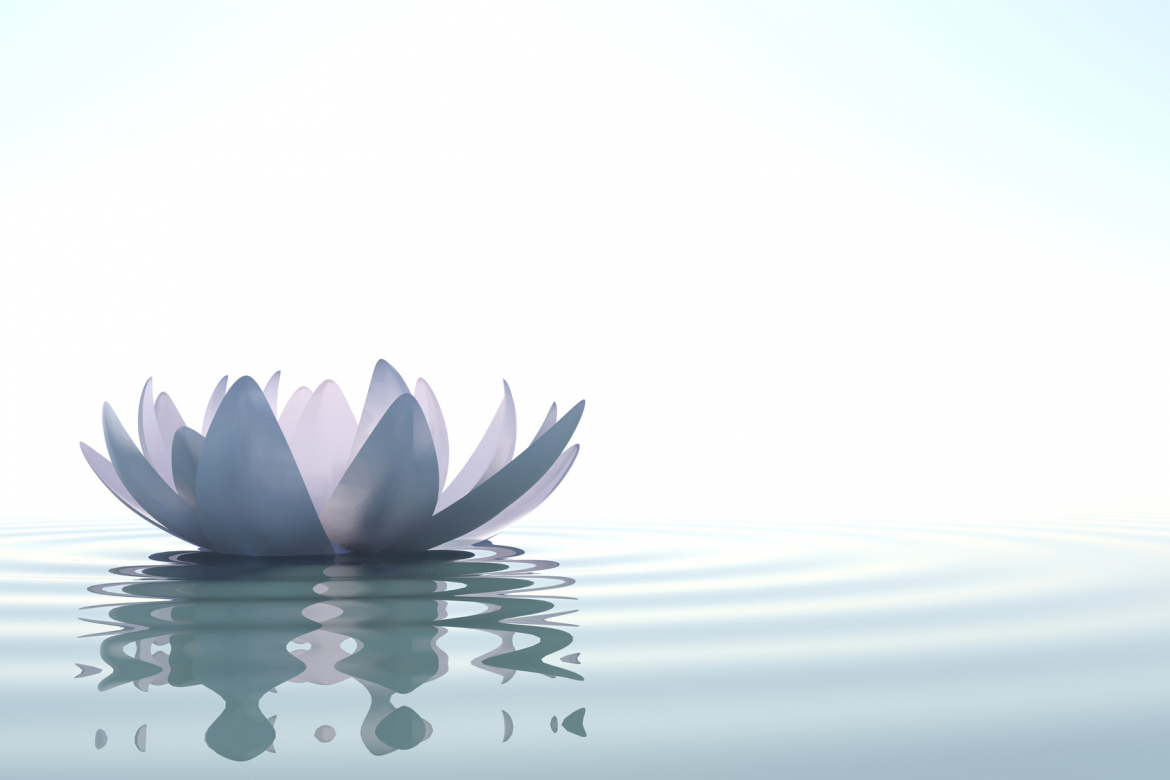 Zen-Blume.jpg